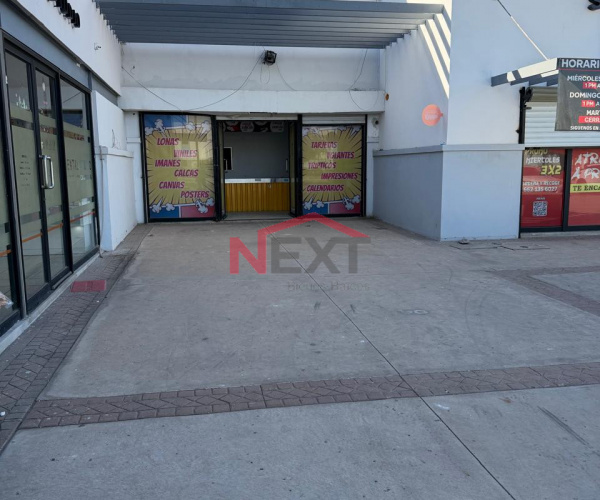 LOCAL EN RENTA EN PLAZA MAGNUM