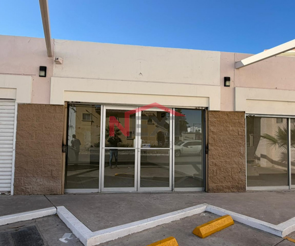 LOCAL EN RENTA EN PUERTA REAL