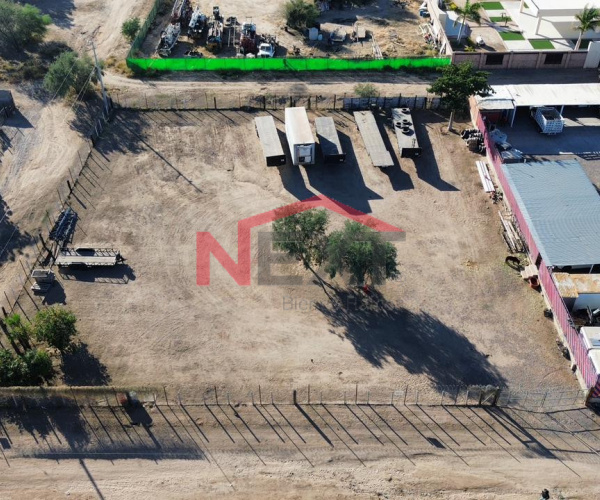 TERRENO EN RENTA COL. VILLA DE SERIES (NUEVA ILUSION)