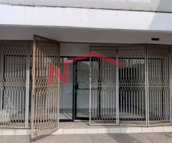 LOCAL EN RENTA UBICADO EN ZONA CENTRO