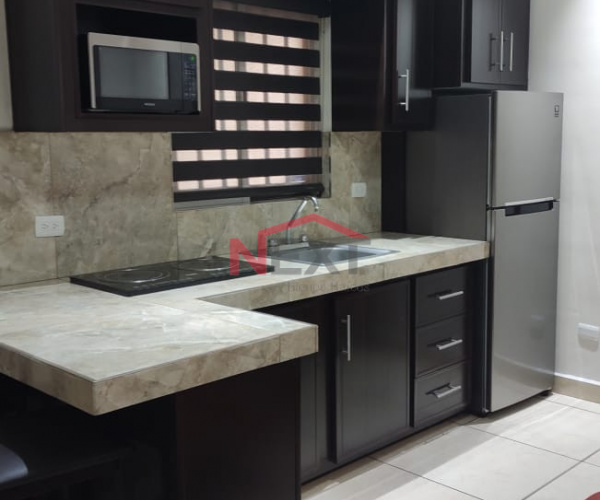 DEPARTAMENTO EN RENTA EN COL. LEY 57