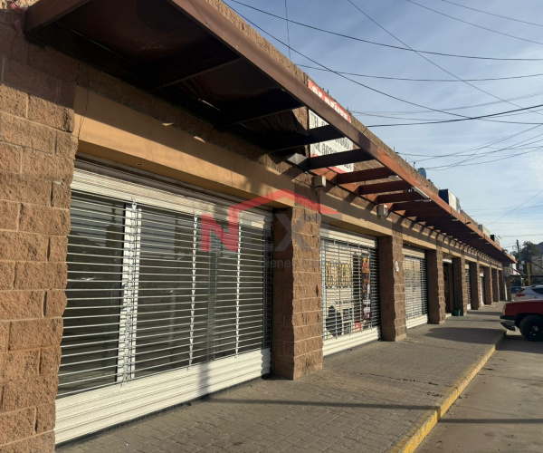 LOCAL EN RENTA EN PLAZA PALO VERDE