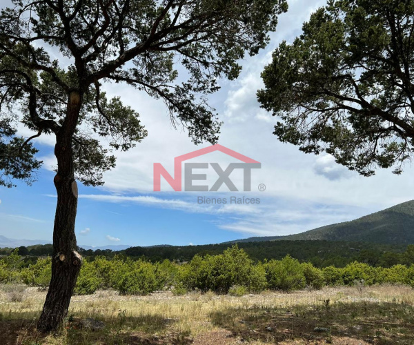 VENTA DE TERRENO CAMPESTRE EN LA EFIGENIA ARTEAGA, COAHUILA