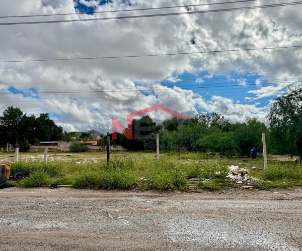 TERRENO EN VENTA EN PALO VERDE