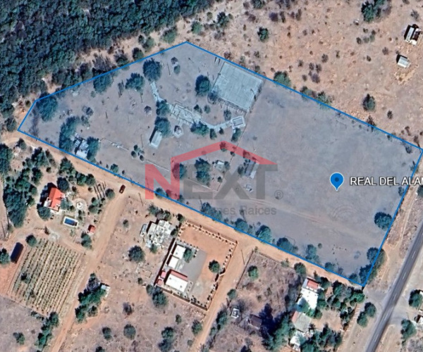 TERRENO EN VENTA EN REAL DEL ALAMITO