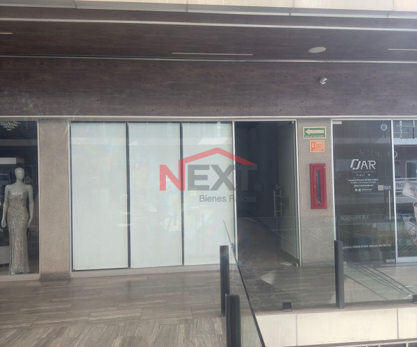 LOCAL EN RENTA EN PLAZA COLOSSUS