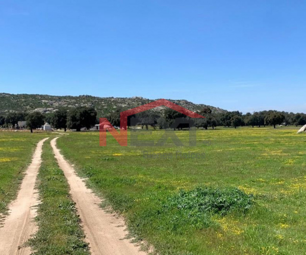 VENTA DE TERRENO CAMPESTRE EN  TECATE B.C. ,MEXICO