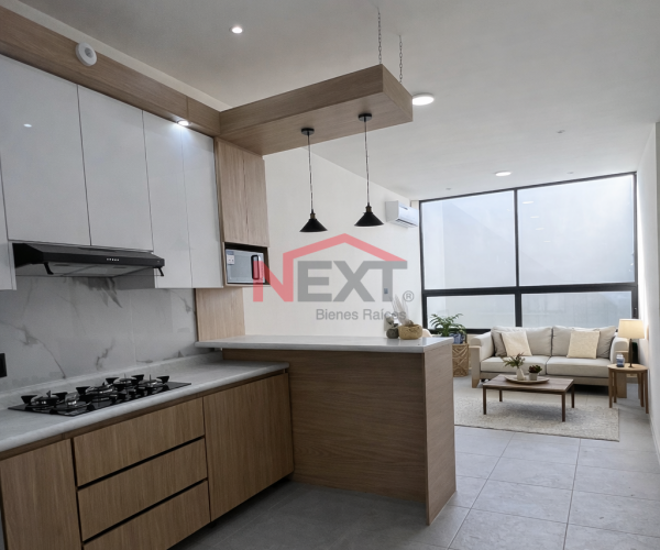 DEPARTAMENTO EJECUTIVO EN RENTA