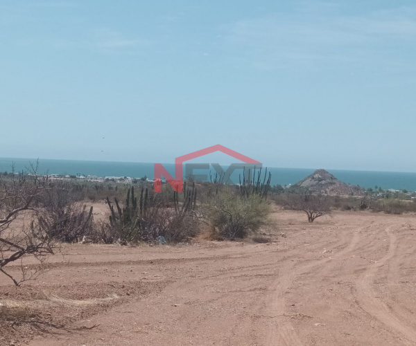 TERRENO EN VENTA EN BAHIA DE KINO