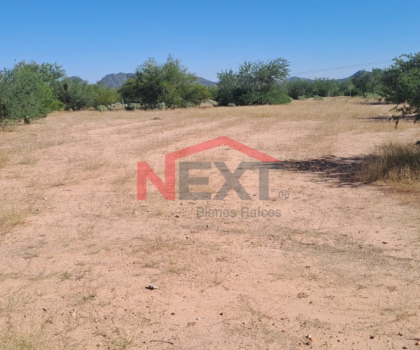 TERRENO CAMPESTRE EN VENTA EN EL CEBOLLON