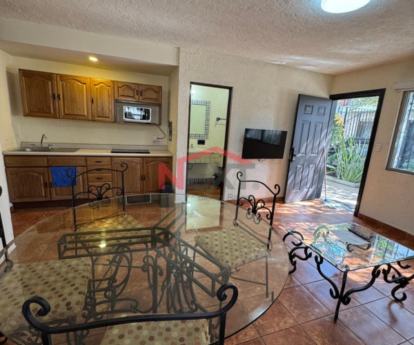 RENTA DEPARTAMENTO DE 1 RECAMARA AL NORTE