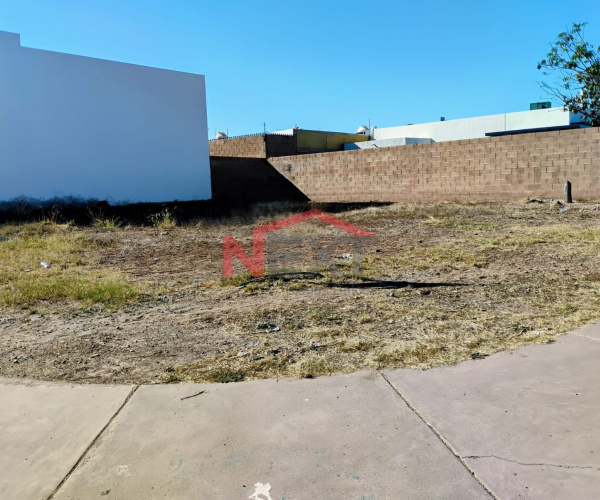 RENTA TERRENO UBICADO EN ZONA NORTE