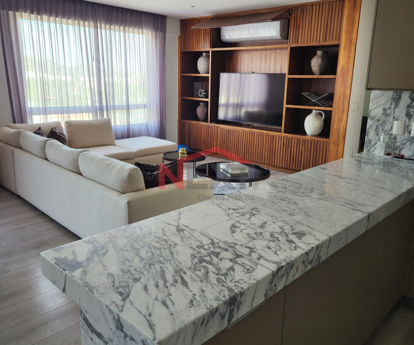 DEPARTAMENTO EN RENTA EN TORRE SOLARA