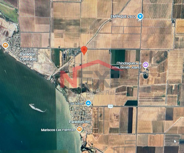 TERRENO AGRÍCOLA EN VENTA – VALLE DEL YAQUI