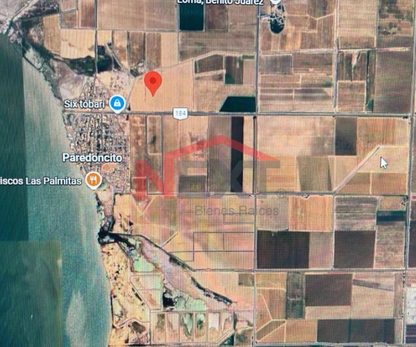 TERRENO AGRÍCOLA EN VENTA – VALLE DEL YAQUI