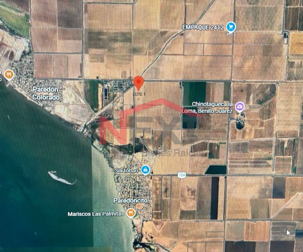 TERRENO AGRÍCOLA EN VENTA – VALLE DEL YAQUI