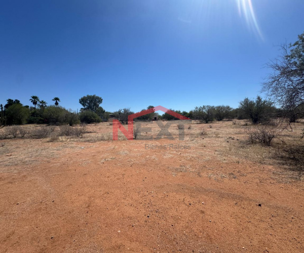 TERRENO EN VENTA EN REAL DEL ALAMITO