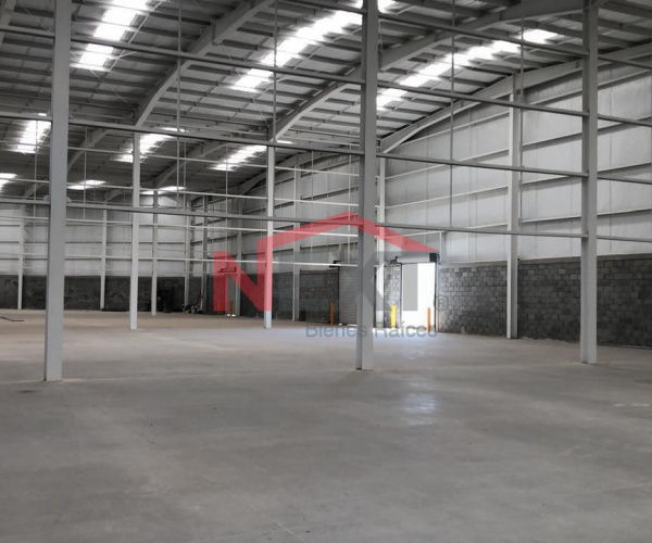 Bodega en Renta  600 m2 (3)