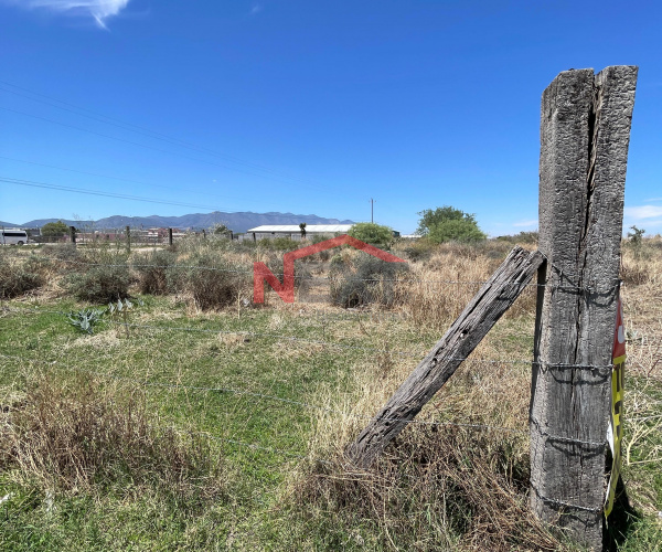TERRENO EN RENTA EN LA PROVIDENCIA - CERCANO A DERRAMADERO