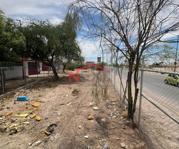 TERRENO EN RENTA SOBRE CAMINO DEL SERI