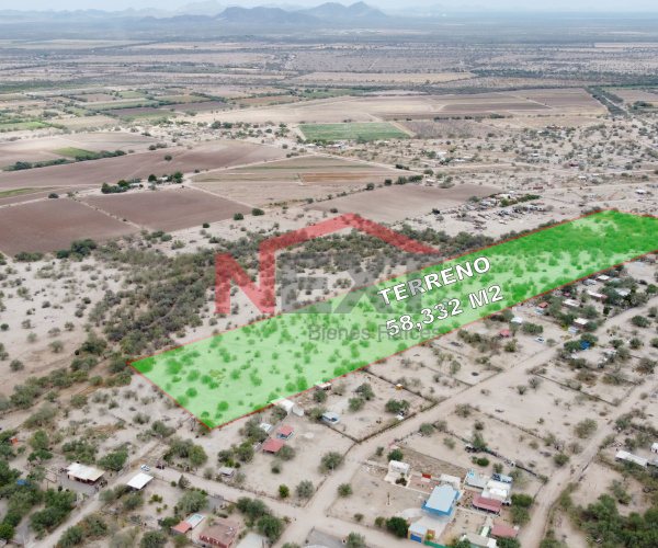 TERRENO EN VENTA EN EJIDO EL ALAMITO