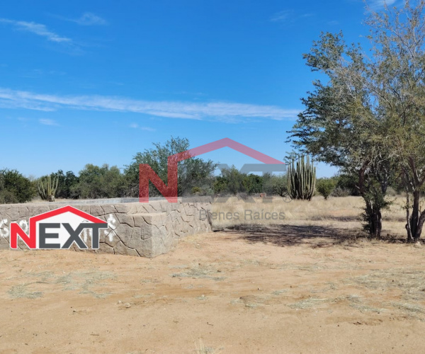 TERRENO EN VENTA EN SAN PEDRO EL SAUCITO