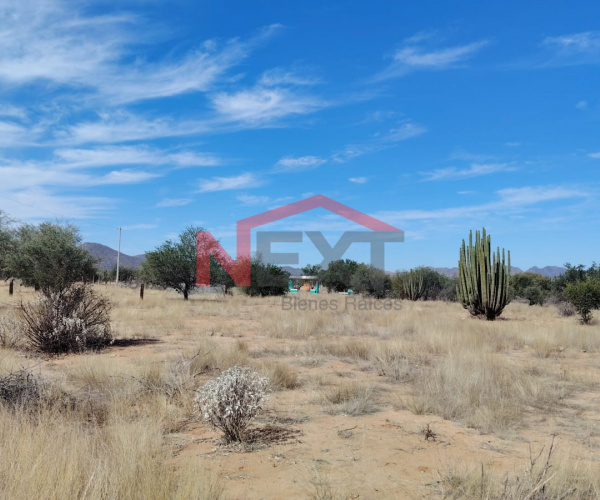 TERRENO EN VENTA EN SAN PEDRO EL SAUCITO