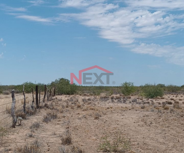 TERRENO AGRICOLA EN VENTA EN PESQUEIRA