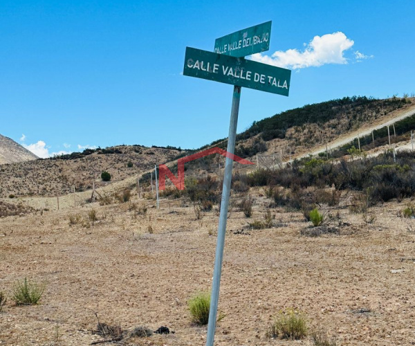 TERRENO CAMPESTRE EN VENTA- ENSENADA B.C