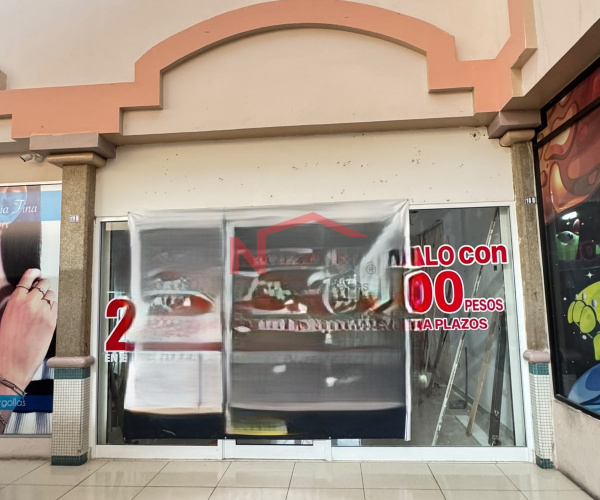 LOCAL EN RENTA EN PLAZA LEY SAHUARO