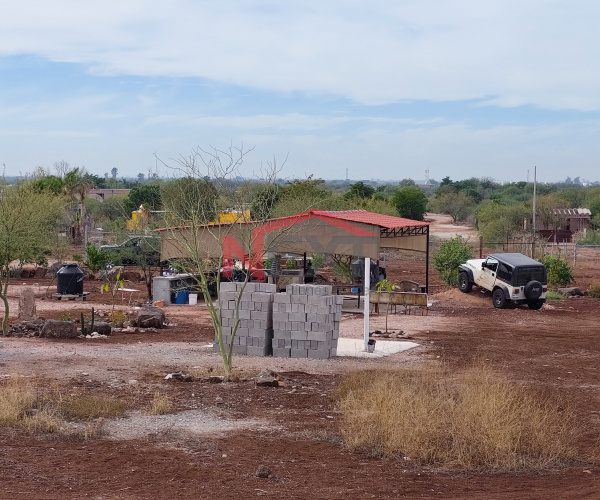 TERRENO CAMPESTRE EN VENTA EJIDO ANTONIO ROSALES PREDIO " LAS ÄNIMAS" NAVOJOA ,SONORA