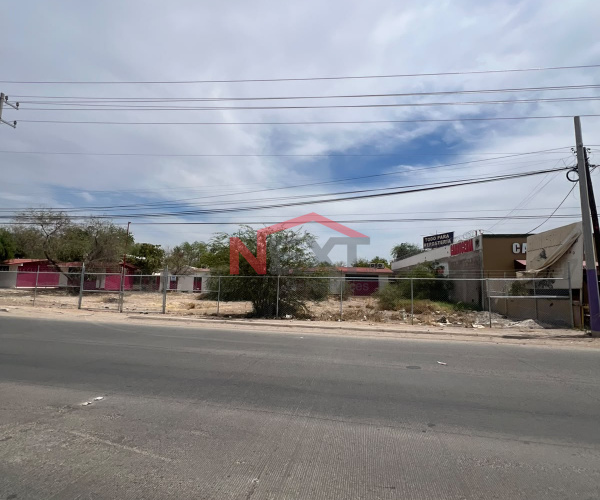 TERRENO EN VENTA SOBRE CAMINO DEL SERI