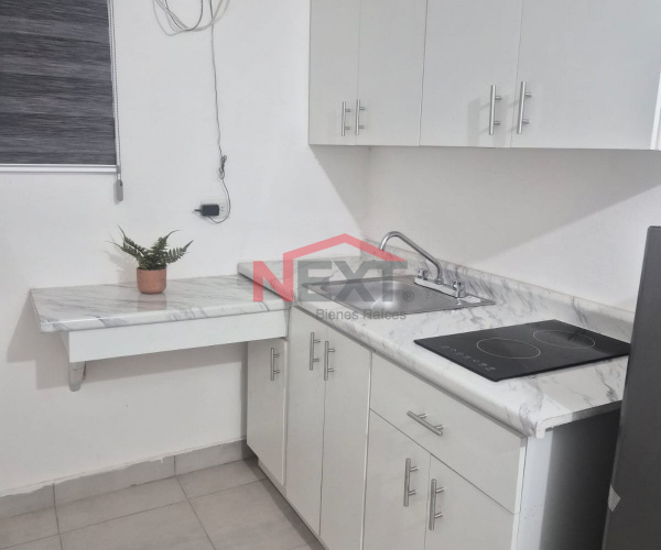 DEPARTAMENTO EN RENTA EN COL. OLIVARES