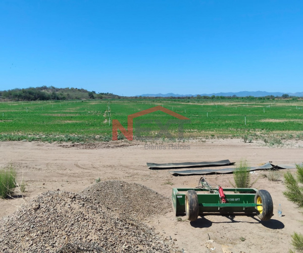 CAMPO AGRICOLA  EN RENTA EN SAN MIGUEL DE HORACITAS
