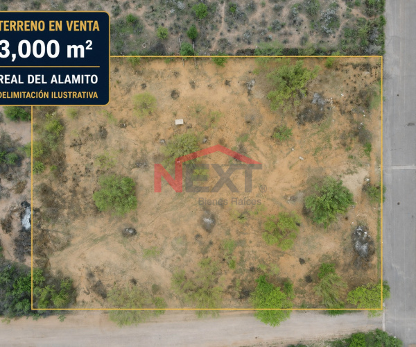 TERRENO EN VENTA EN REAL DEL ALAMITO - LAS ARBOLEDAS