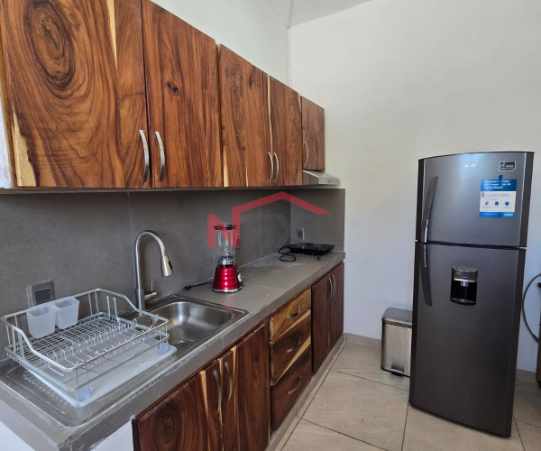 Departamento en Renta- Amueblado - Zona Norte