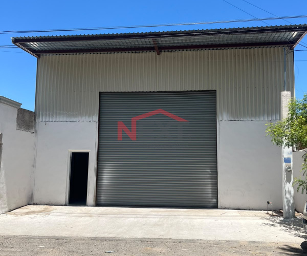 BODEGA EN RENTA EN COL. OLIVARES
