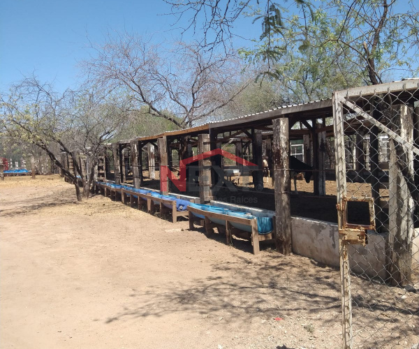 ESTABLO PARA ENGORDA DE GANADO EN VENTA EN LA VICTORIA