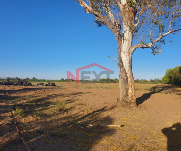 TERRENO EN VENTA SOBRE CAMINO DEL SERI FINAL