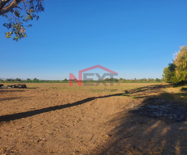 TERRENO EN VENTA EN CAMINO DEL SERI FINAL(2)