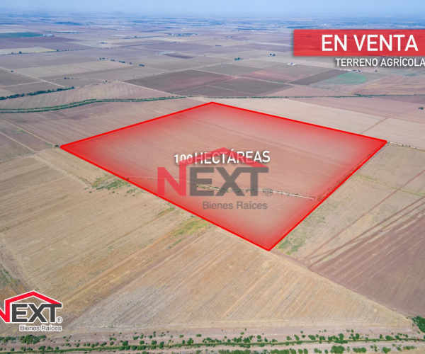 RANCHO AGRICOLA EN VENTA UBICADO EN CAPETAMAYA, NAVOJOA SON