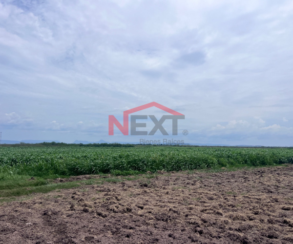 VENTA DE RANCHO
