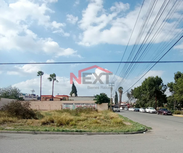 TERRENO EN RENTA AL NORTE, JARDINES DEL VALLE